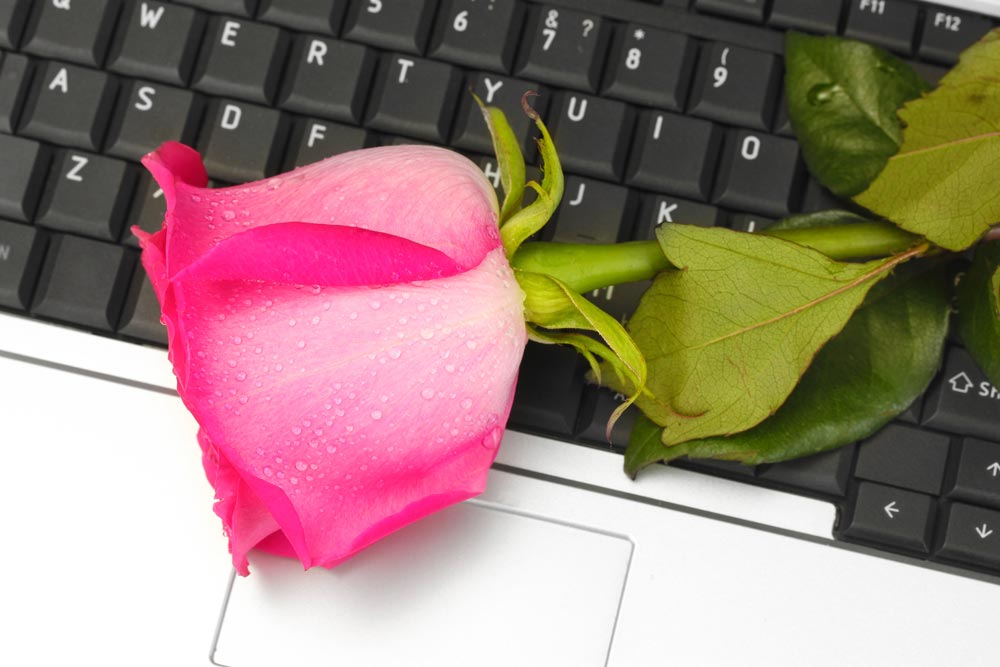 rose on laptop keyboard to illustrate how to advertise to developers